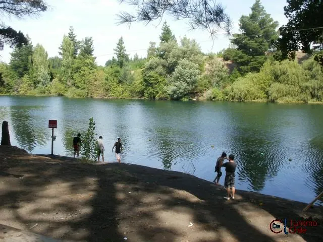 Turistas en la orilla del río Laja junto al bosque de pino del camping