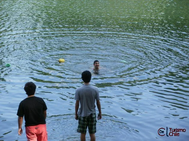 Jóvenes nadando en el río Laja frente al Camping Laja Esmeralda