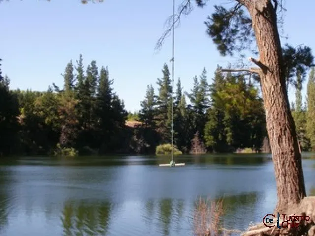 Columpio colgante desde árbol sobre el río Laja en el camping